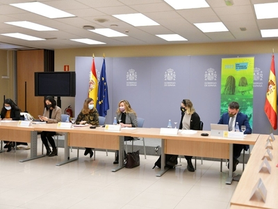 Primera reunión del grupo de trabajo nacional creado con motivo del Año Europeo de la Juventud