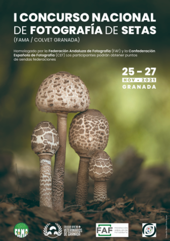 Imagen I Concurso Nacional de fotografía de setas “Colegio veterinarios Granada-FAMA”