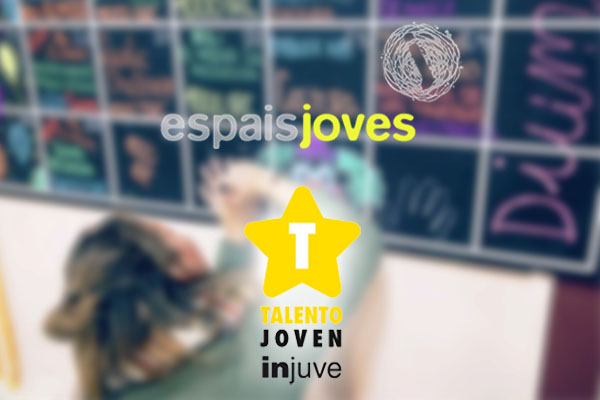 Servicio de Espacios Jóvenes. Programa Ayuda a Iniciativas jóvenes