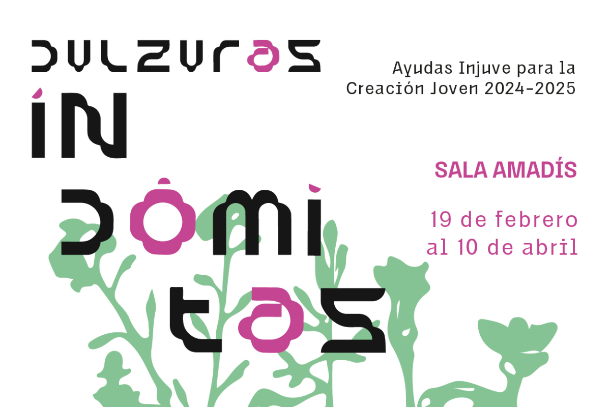 Dulzuras indómitas. Ayudas Injuve para la Creación Joven 2024-2025. Sala Amadís. 19 de febrero al 10 de abril