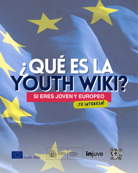 ¿Qué es la Youth Wiki?
