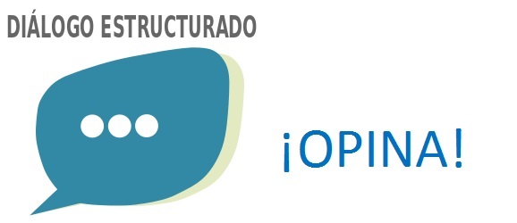 Logo Diálogo Estructurado