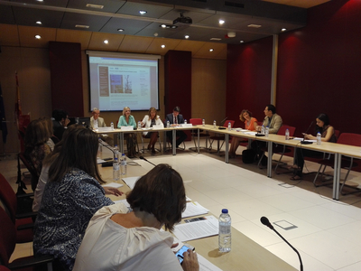 Segunda reunión del Comité de la Campaña para la declaración de la Década del Empleo Juvenil