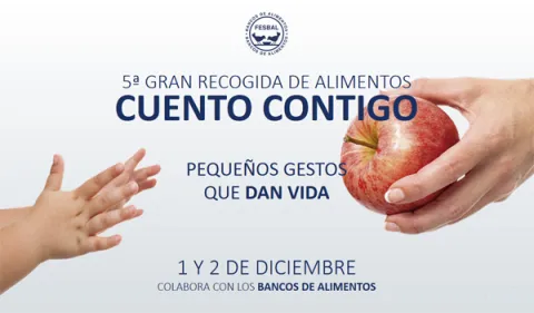 Gran Recogida de Alimentos 2017
