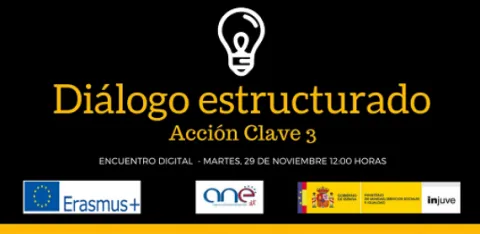 Diálogo Estructurado. Acción Clave 3