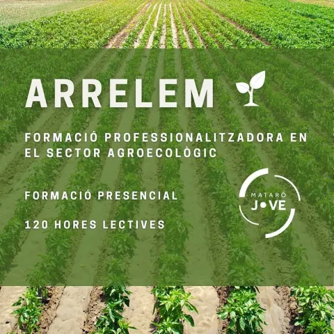 Arrelem