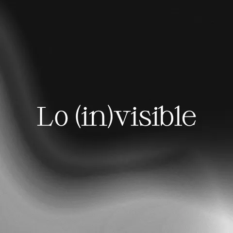 Lo (in) visible
