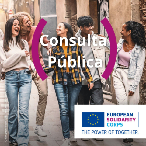 Consulta pública sobre el Cuerpo Europeo de Solidaridad y los programas de Ayuda de la Unión Europea