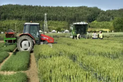 Imagen Ayudas al establecimiento de jóvenes agricultores y agricultoras y a las inversiones en modernización y/o mejora de explotaciones agrarias. Extremadura