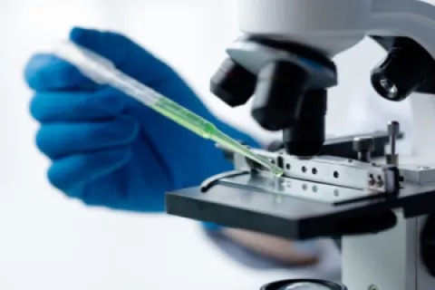 Imagen XX Premio Fundación Banco Sabadell a la Investigación Biomédica 2025
