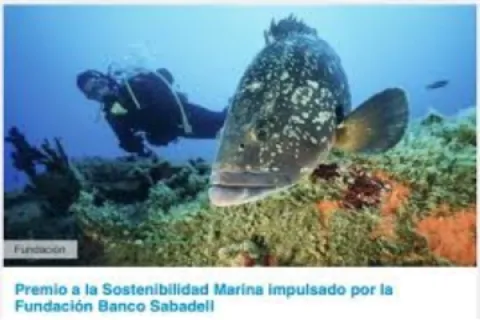 Imagen IV Edición del Premio Fundación Banco Sabadell a la Sostenibilidad Marina 2025