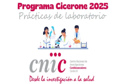 Imagen Programa Cicerone 2025 - Prácticas de laboratorio en el CNIC