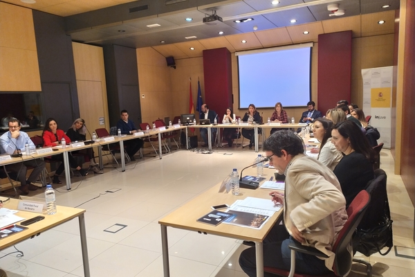 Reunión del Consejo Interterritorial de Juventud en Madrid