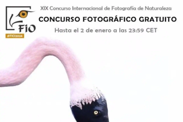 Imagen 19º Concurso de Fotografía de Naturaleza "Las Aves Silvestres"