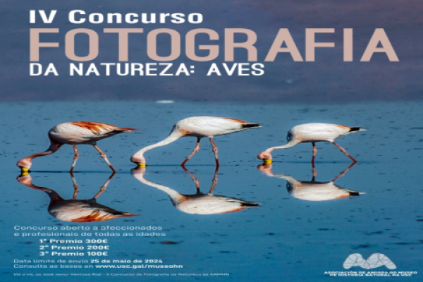 Imagen IV Concurso de Fotografía de Naturaleza: Aves