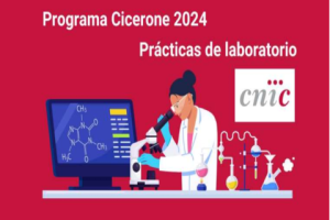 Imagen Programa Cicerone 2024 CNIC