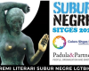 Imagen Premio Subur Negre LGTBIQ+ 2024